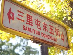 -三里屯东五街银杏大道