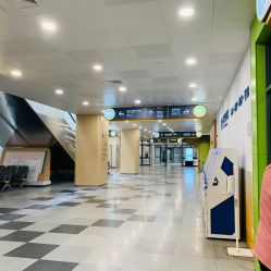 -上海交通大学医学院附属上海儿童医学中心(陆家嘴总院区)