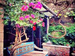 -杨桃院子旅馆(厦门鼓浪屿中华红墨店)