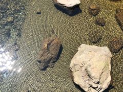 -宁波五龙潭景区