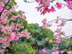 -宝墨园景区