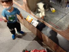 -宠物世家(仲盛世界商城店)