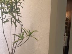 -The Good Place好地方·Brunch·coffee(国贸店)