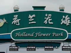-荷兰花海