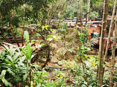 -七仙岭温泉国家森林公园