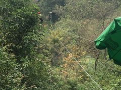 -芦仙山景区-飞越丛林探险乐园