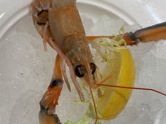 -都会尚膳·海鲜自助餐厅(重庆万豪酒店)