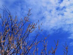 -相门城墙文化休闲景区