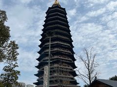 -红梅公园