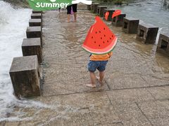 -贵阳市花溪国家城市湿地公园