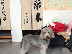 -沏点Trattoria意大利餐厅(新街口店)