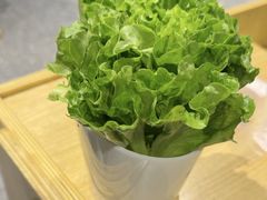 -渔珺石锅鱼·云南菜(天泽街店)