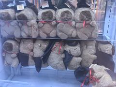 -可爱抓 COCO  GOTCHA(天津鹏欣水游城店)