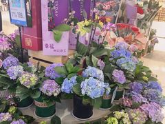 -盒马鲜生(皇庭广场店)