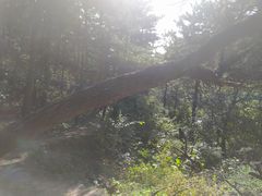 -云峰山自然风景区