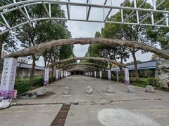 -南汇桃花村