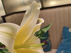 -聆桂烤鸭·金奖烤鸭(静联广场店)