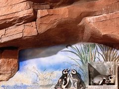 -海合安武汉极地海洋公园