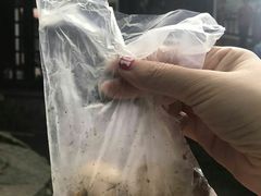 -金盆阿嬷香菇茶叶蛋(玄光店)