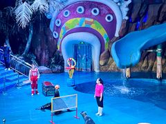 -烟台海昌鲸鲨海洋公园