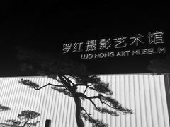 -好利来(望京中福店)