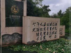 -星河温泉小镇