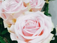 -何兮花店·气球派对鲜花店(马桥银春路万科城店)