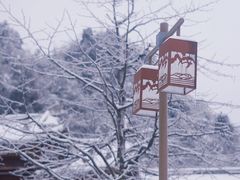 -瓦屋山景区