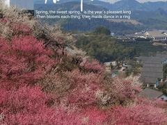 -原乡小镇度假乐园