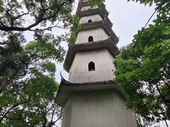 -江心屿景区