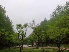 -合肥滨湖国家森林公园