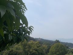 -金水泊山庄·花椒鸡(铁山坪店)