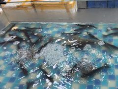 -养牛邓·潮汕牛肉海鲜自助火锅(广州店)