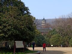 -灵谷景区