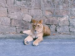 -乐和乐都主题乐园