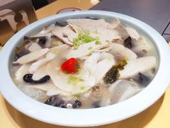 -素虎小呆鸟(西二旗店)