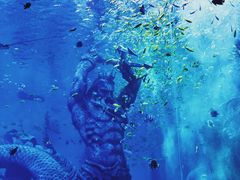 -哈尔滨波塞冬海底世界