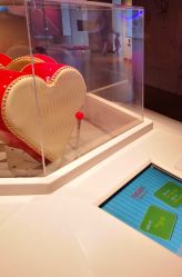 -北京科学中心儿童乐园