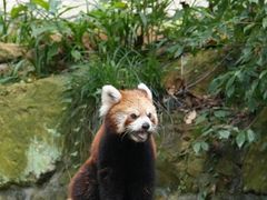 -杭州动物园