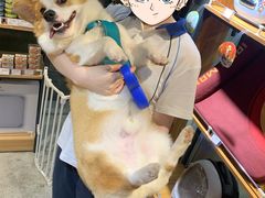 -PETKIT小佩宠物(昭化店)