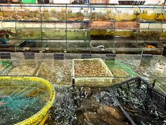 -岛中岛·海鲜大排档·万宁老字号(东澳店)