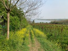 -南京金牛湖风景区