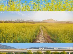 -光明小镇欢乐田园
