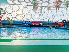 -水立方嬉水乐园