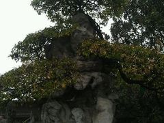 -水绘园