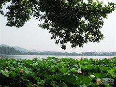 亲水平台风景-郭庄茶室