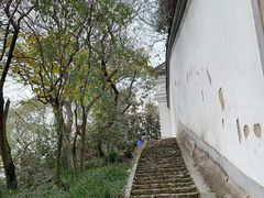 -上海佘山国家森林公园天马山园