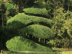 -苏州河梦清园环保主题公园