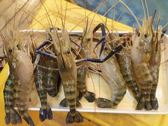 -北京华联生活超市(北京常营店)