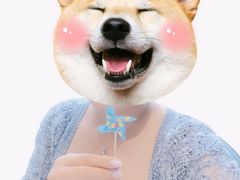 -EnergyCake蛋糕理想国